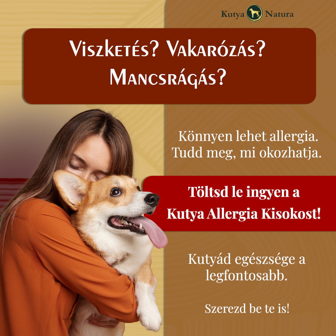 1_new.jpg__PID:41d62b9f-c5a0-4850-bb40-278d6dd5329d